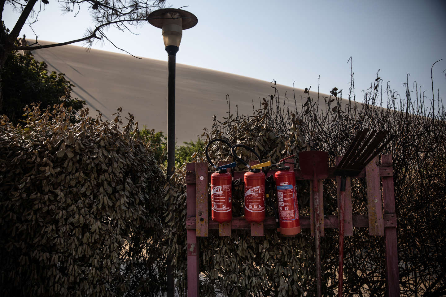 Les grands feux de Gironde soulignent les faiblesses de la lutte contre les incendies