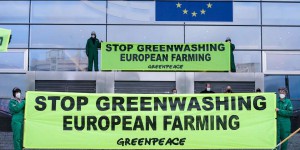 « Le greenwashing a permis de faire diversion en se satisfaisant de demi-mesures ou de fausses solutions »