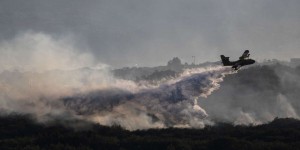Incendies en Ardèche : l’homme qui a avoué avoir mis le feu a été mis en examen et placé en détention provisoire