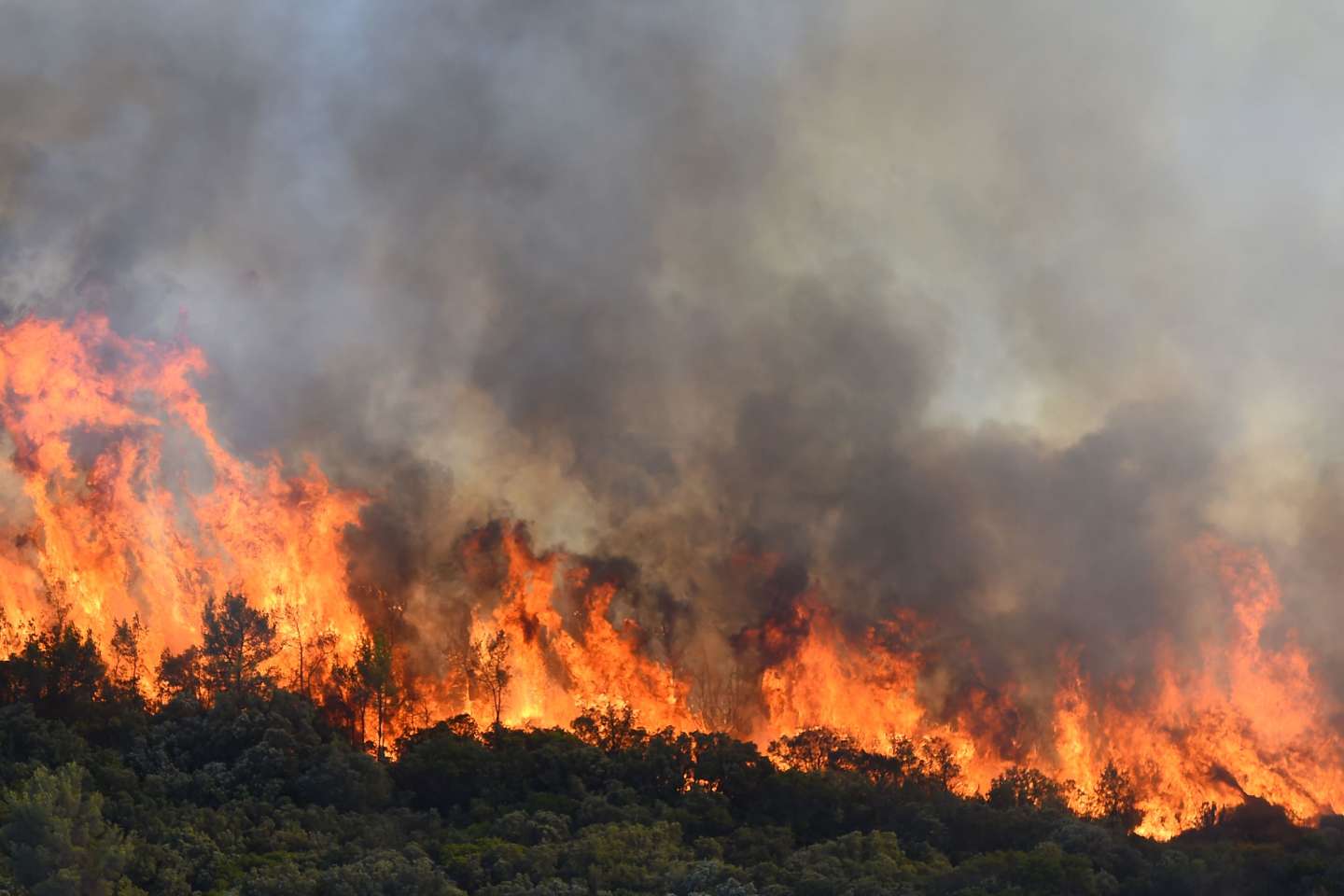 Incendies en France : qui sont les pyromanes et pourquoi font-ils cela ?