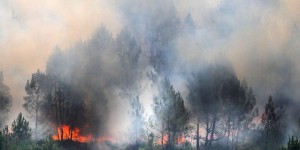 Incendies en Gironde : 3 700 hectares brûlés depuis mardi