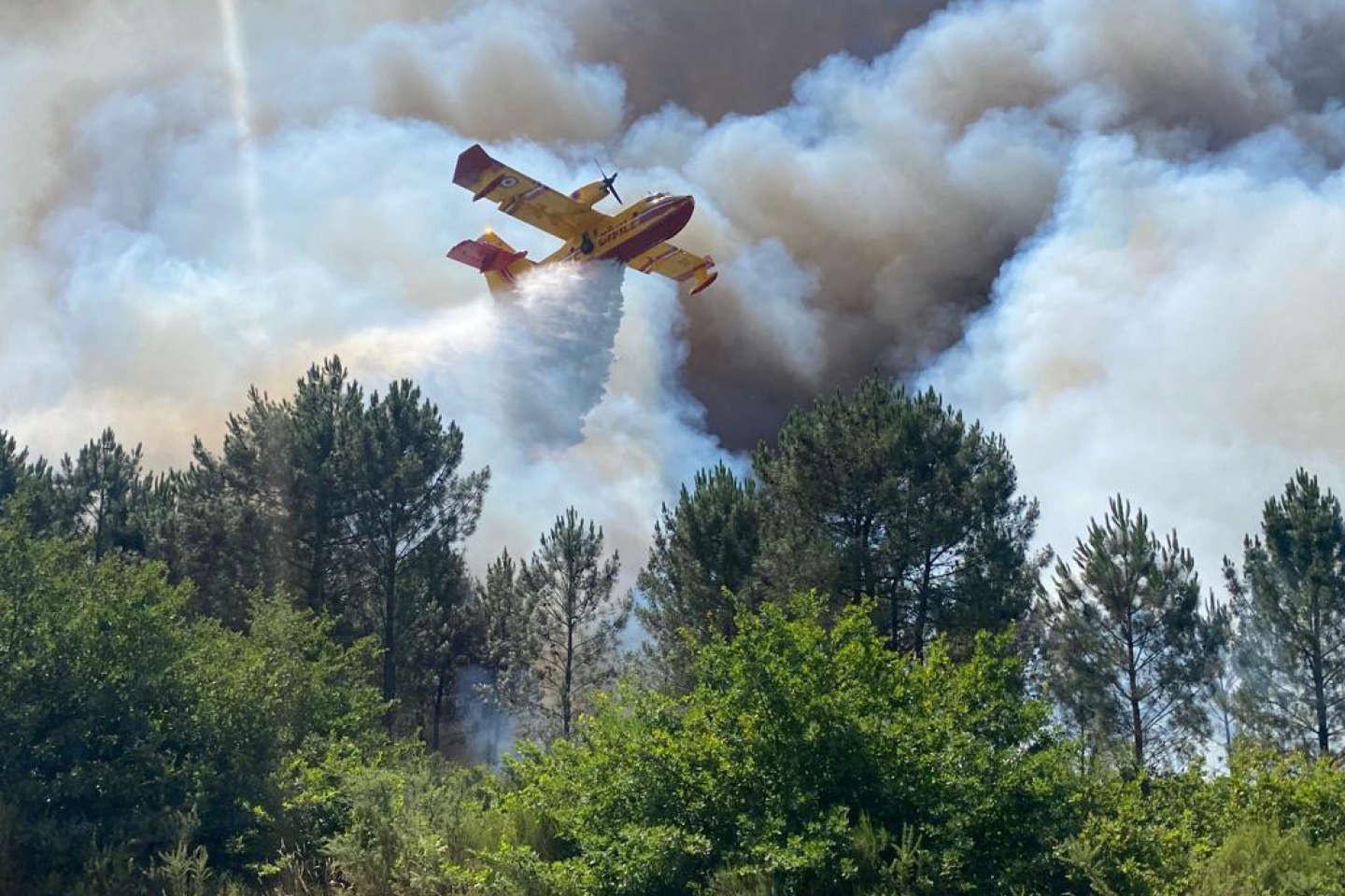 Incendies : en Gironde, près de 15 000 hectares brûlés et 31 000 personnes évacuées
