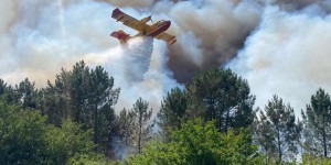Incendies : en Gironde, près de 15 000 hectares brûlés et 31 000 personnes évacuées