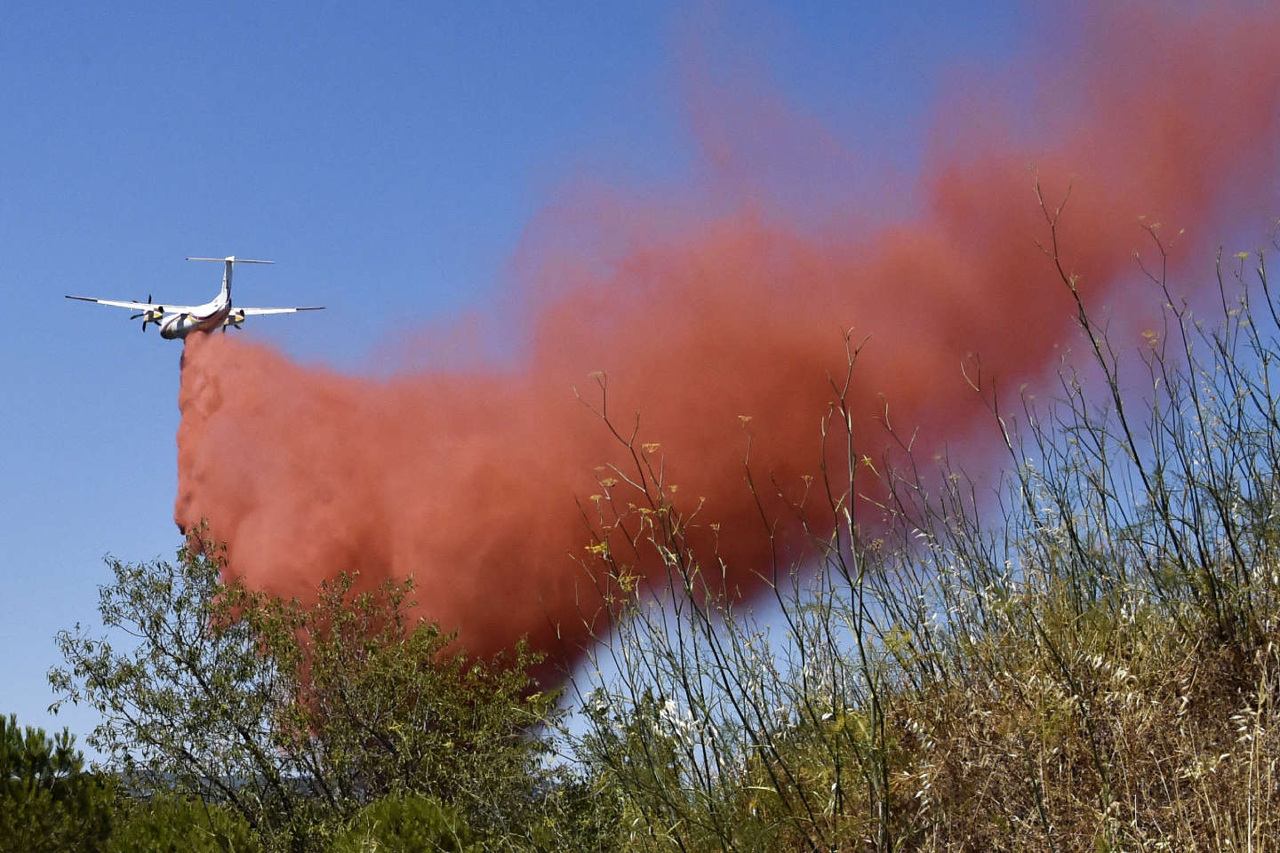 Incendies : un « mégafeu » dans le Gard mobilise des centaines de pompiers