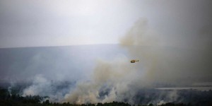 Incendies dans les monts d’Arrée en Bretagne : enquête ouverte pour « crime de destruction volontaire »