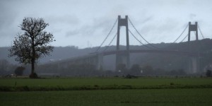 Un nouveau cétacé observé dans la Seine entre le pont de Normandie et celui de Tancarville