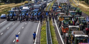 Aux Pays-Bas, un plan drastique de réduction de l’azote provoque la colère des agriculteurs