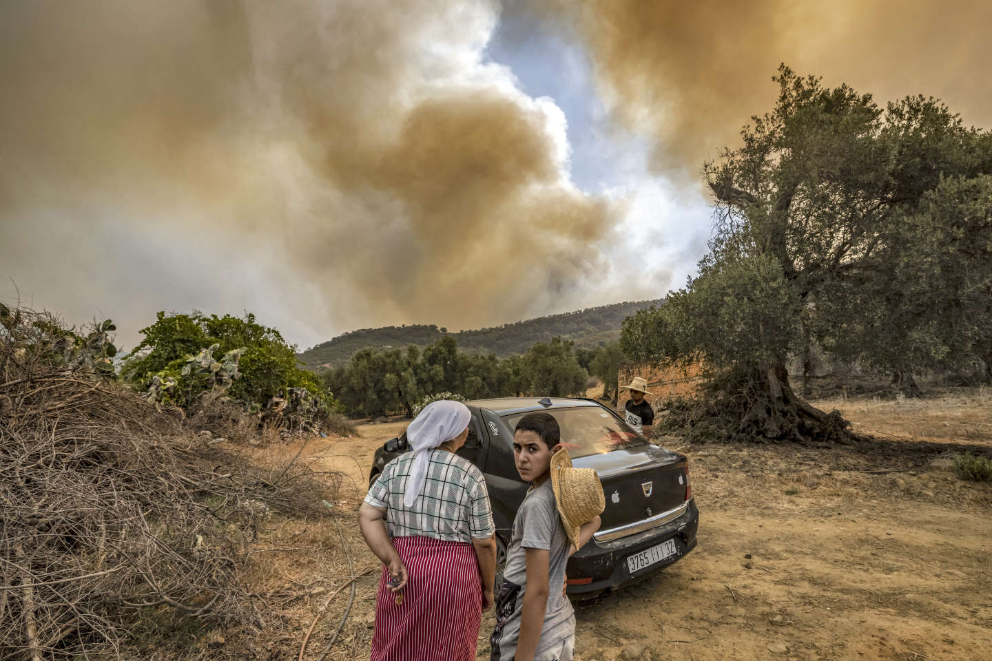 « Nous avons peur pour nos maisons » : le nord du Maroc en proie à de violents feux de forêt