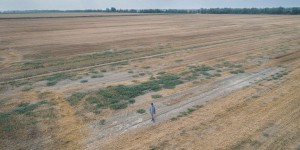 Dans la plaine du Pô, une sécheresse historique menace le grenier de l’Italie