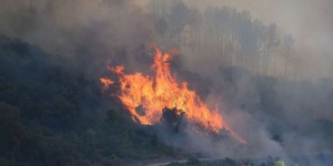 Un pompier volontaire meurt après être intervenu sur un incendie dans les Bouches-du-Rhône