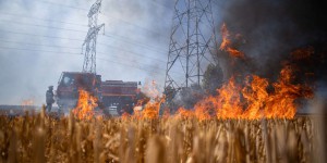 La sécheresse provoque des feux dans les champs de blé de l’Oise
