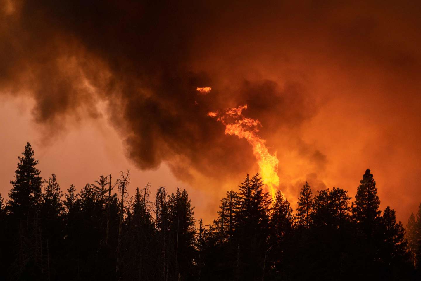 Le violent incendie « Oak fire » continue de s’étendre en Californie, des milliers de personnes évacuées