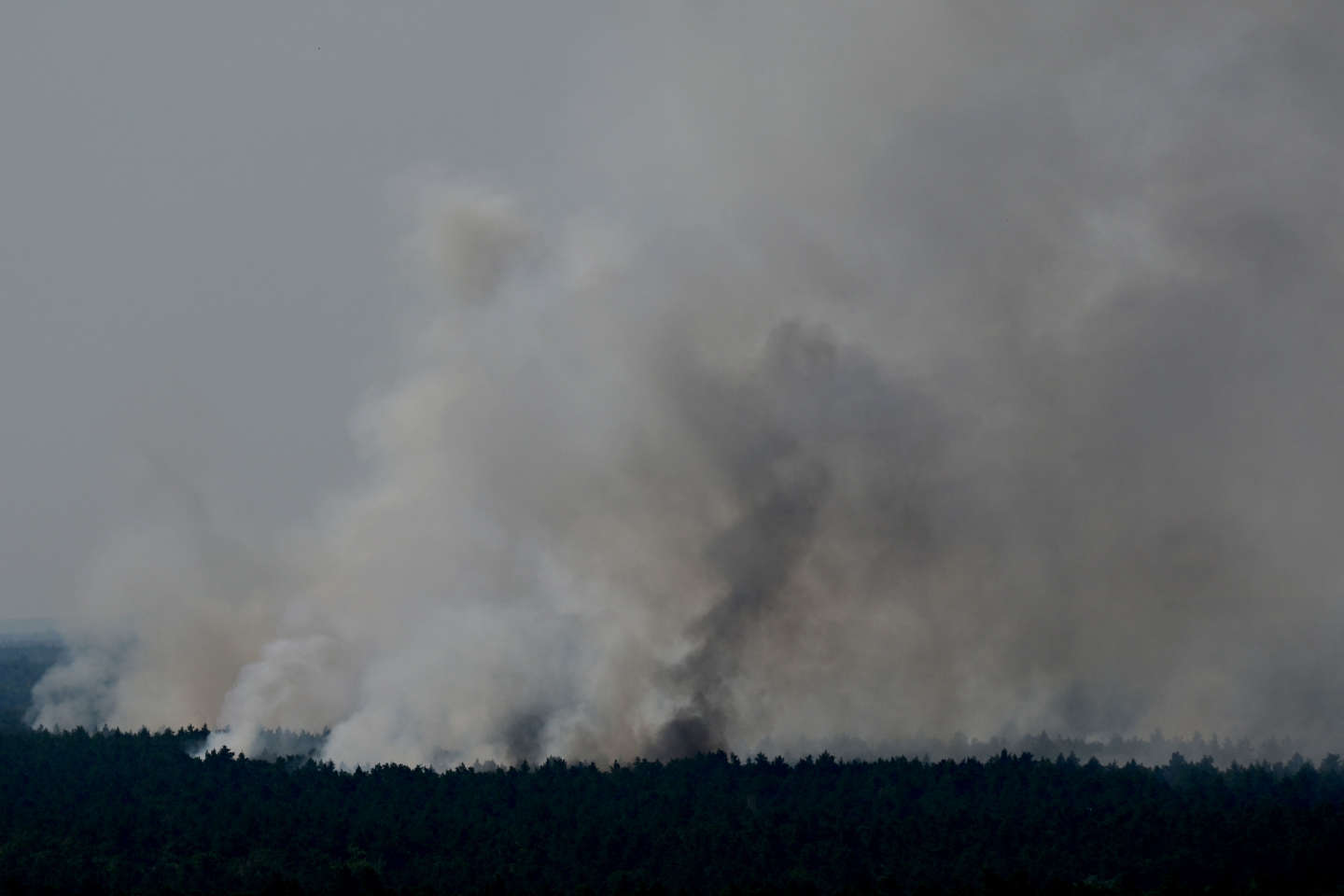 En Allemagne, un incendie s’est déclaré dans la forêt de Grunewald, la plus grande de Berlin
