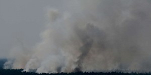 En Allemagne, un incendie s’est déclaré dans la forêt de Grunewald, la plus grande de Berlin