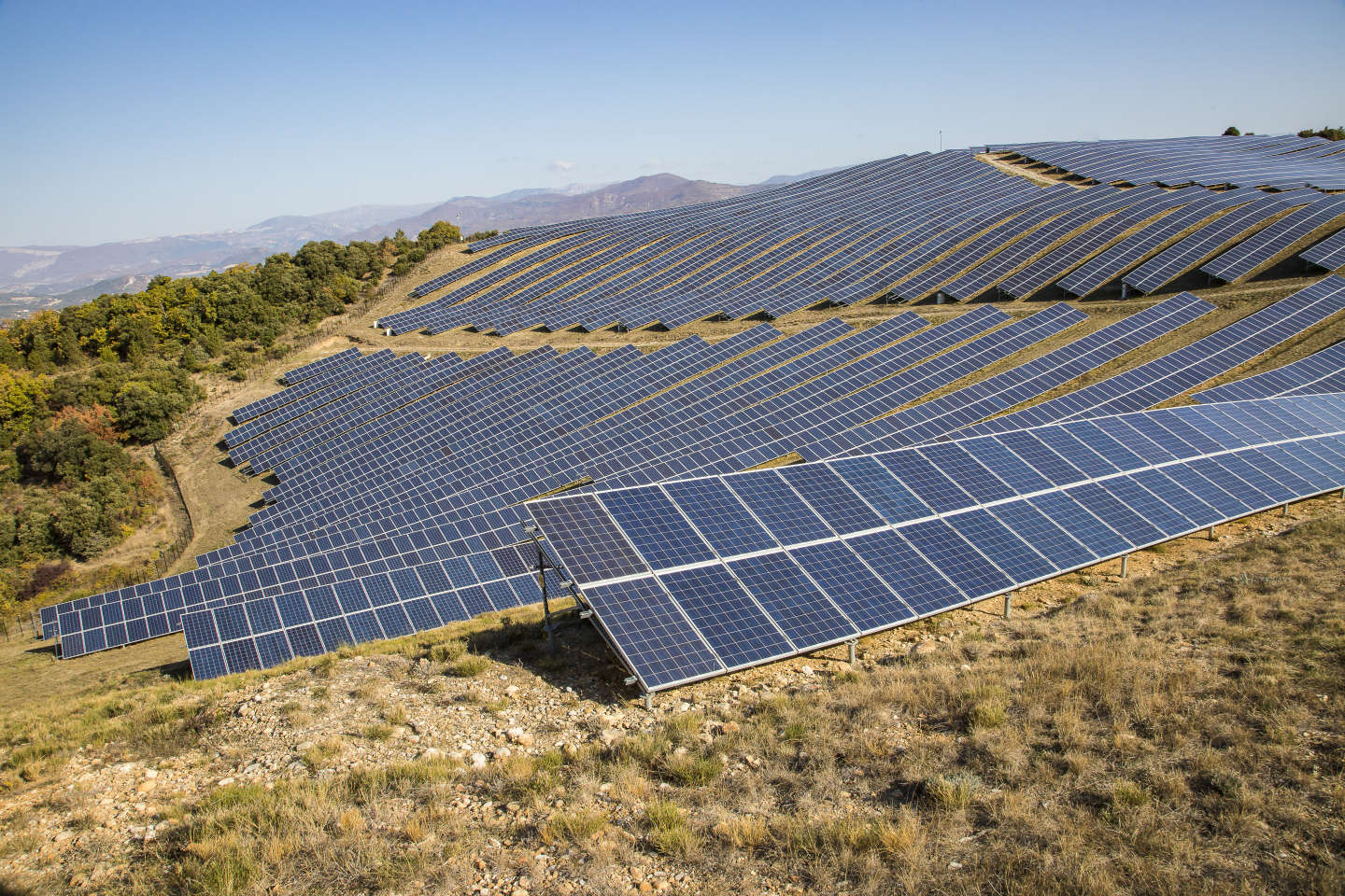 Dans les Alpes du Sud, les parcs solaires rongent les forêts
