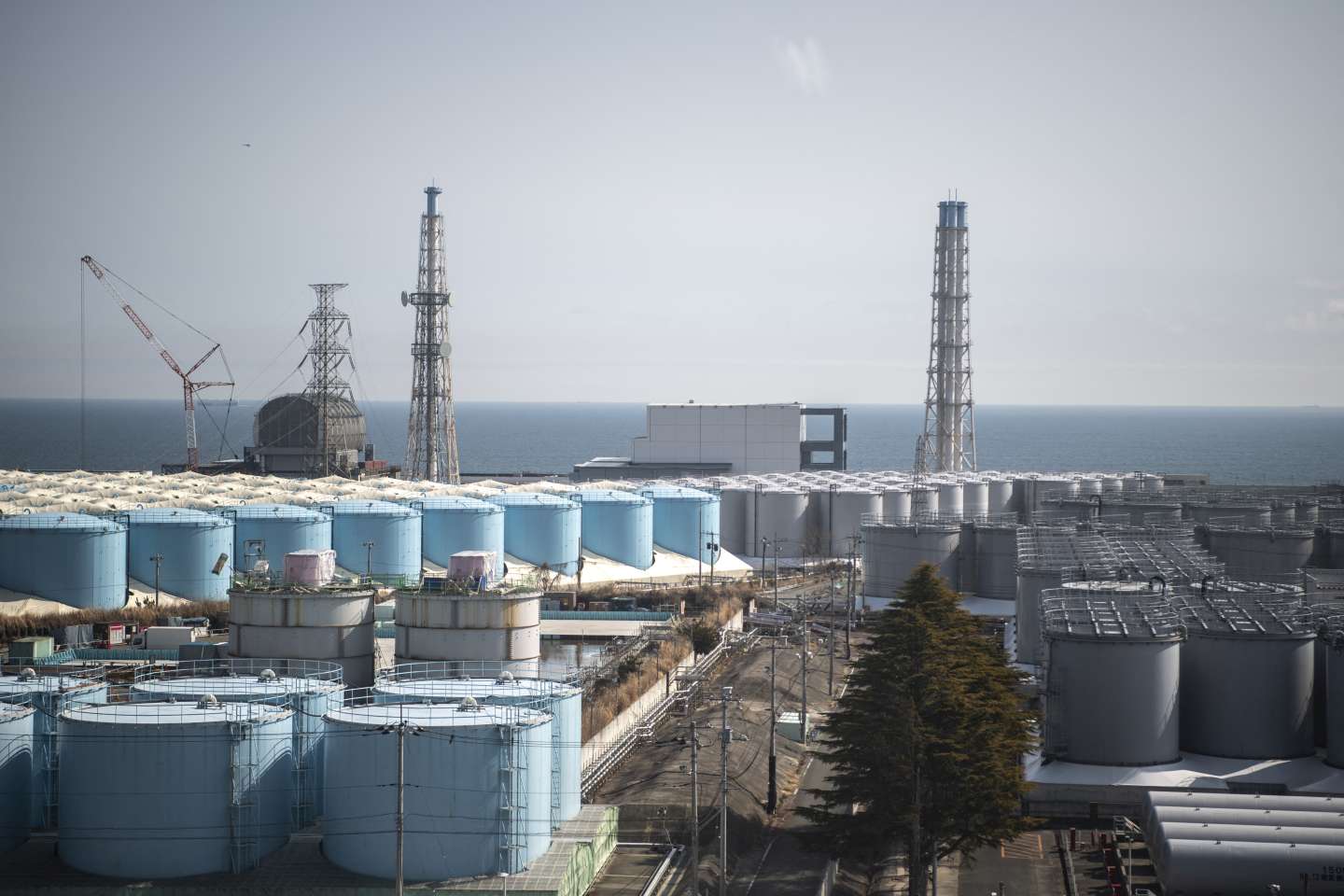 Onze ans après Fukushima, le Japon renoue avec les projets de construction de réacteurs nucléaires