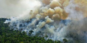 Le Brésil bat son record d’incendies en Amazonie depuis 15 ans