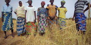 Au Burkina Faso, « tout le monde est très inquiet » : la pénurie d’engrais menace les cultures et la sécurité alimentaire