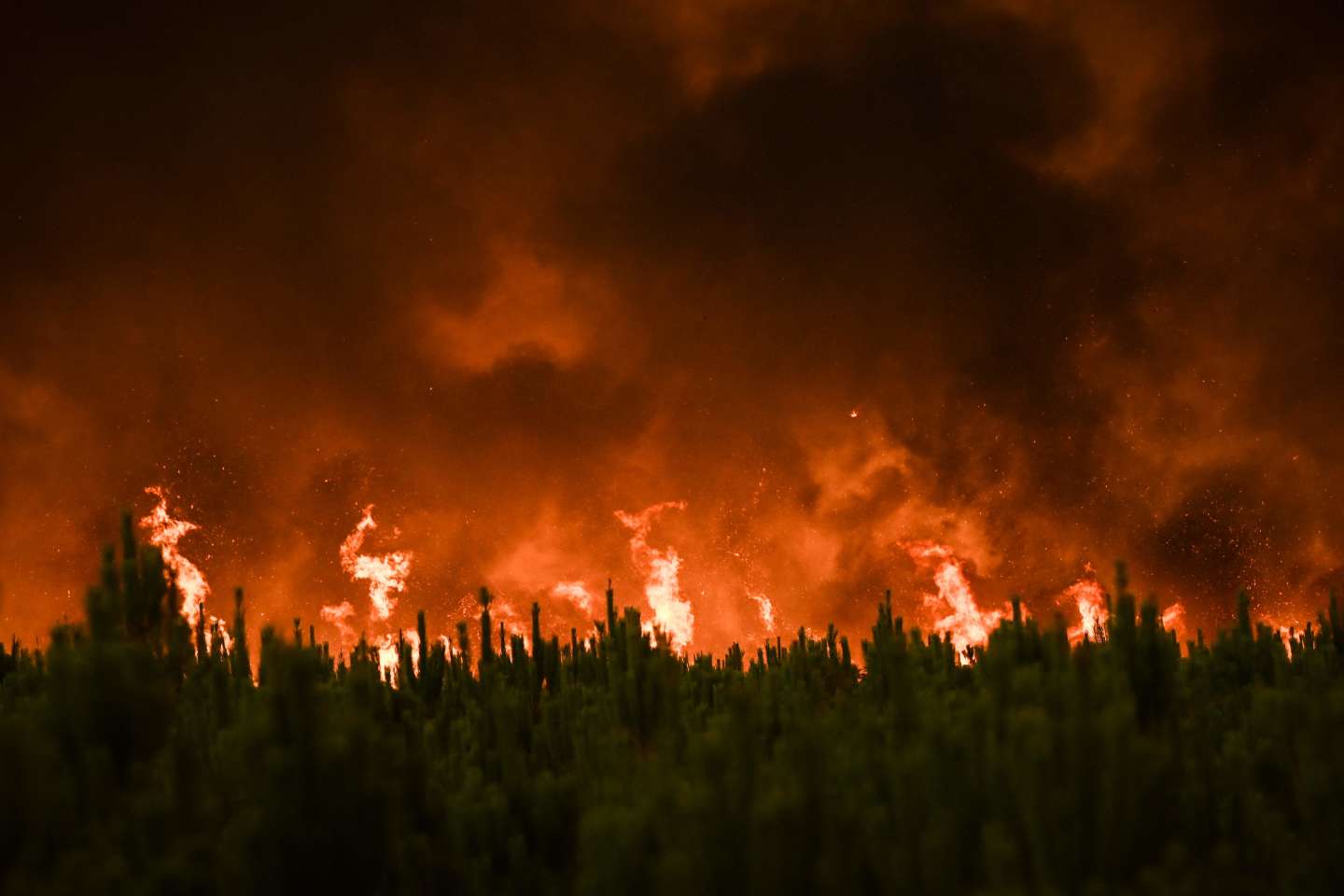 Climat : « La brûlure est la conséquence de l’emprise incontrôlée des entreprises sur nos vies »
