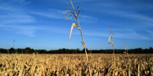 « Face à la sécheresse, changeons de modèle agricole »