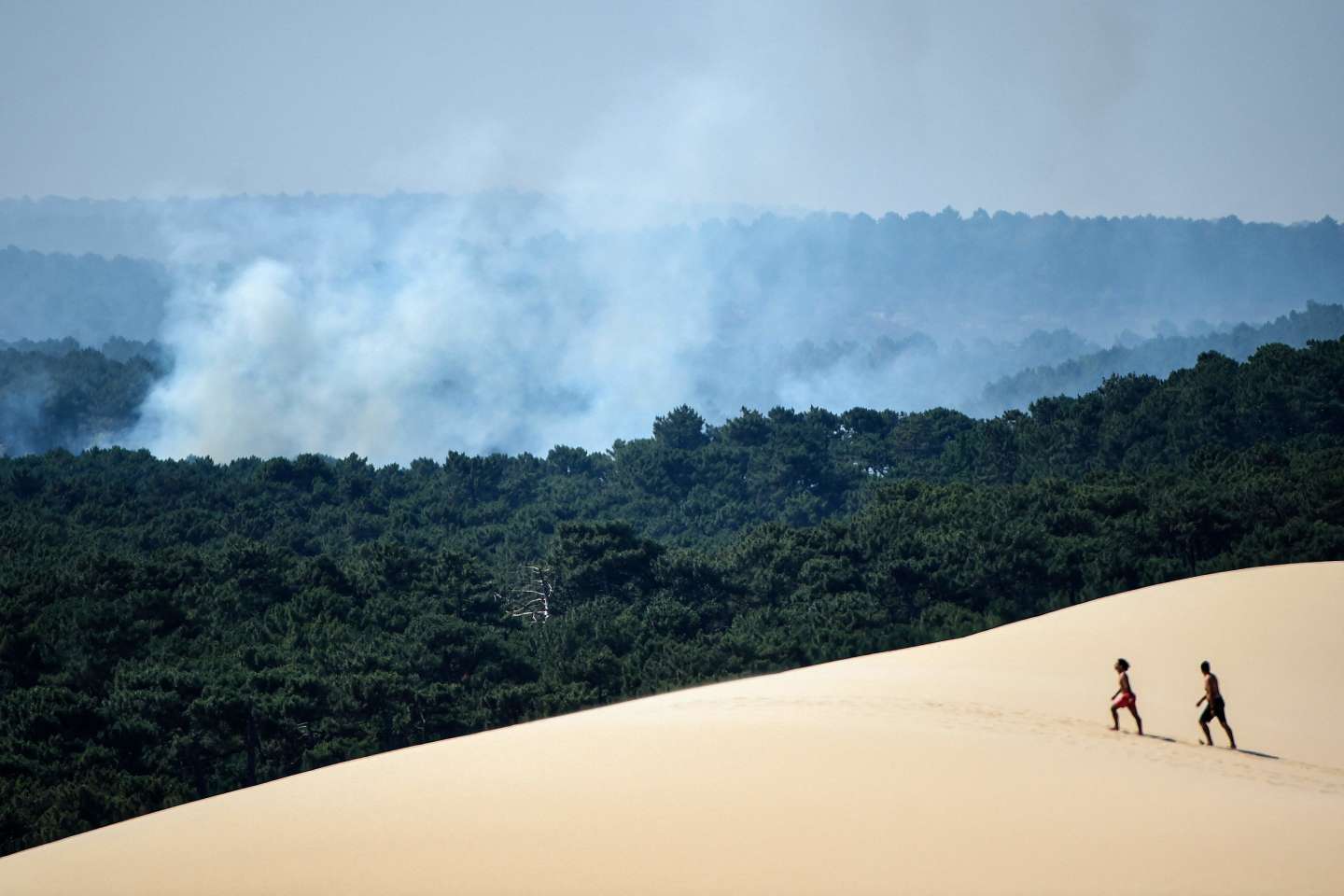 « La forêt des Landes a joué le rôle exactement inverse d’un puits de carbone »
