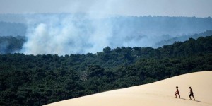 « La forêt des Landes a joué le rôle exactement inverse d’un puits de carbone »