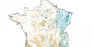 75 % des forêts françaises sont privées, un défi pour leur adaptation au changement climatique
