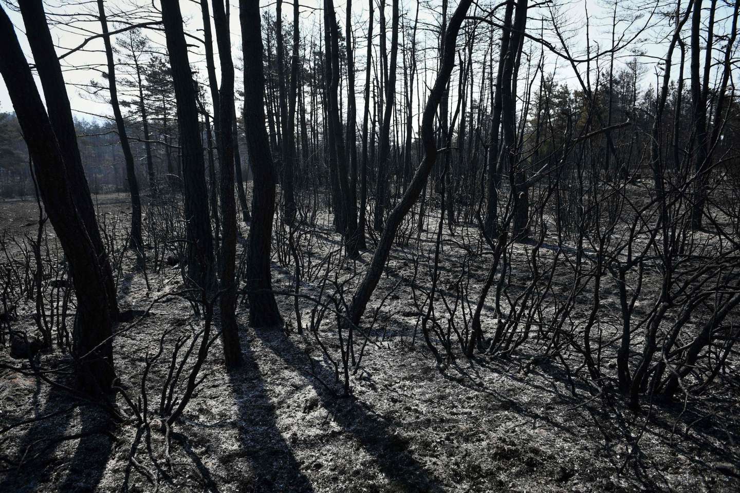 Incendies : plus de 1 200 hectares brûlés dans l’Aveyron ; en Gironde, la pluie offre un répit, mais « les risques de reprises persistent »