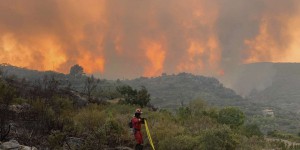 Incendies : en Espagne et au Portugal, des dizaines de milliers d’hectares ravagés par les flammes