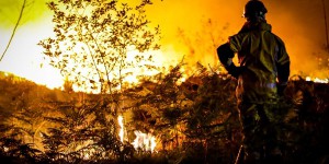 Incendies en France : avec 47 000 hectares brûlés, le record de surfaces incendiées a été dépassé dès le mois de juillet