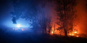 Incendies dans les Landes : « Est-ce qu’il ne faudrait pas que nos députés débattent de l’avenir de cette “forêt” faussement “verte” ? »