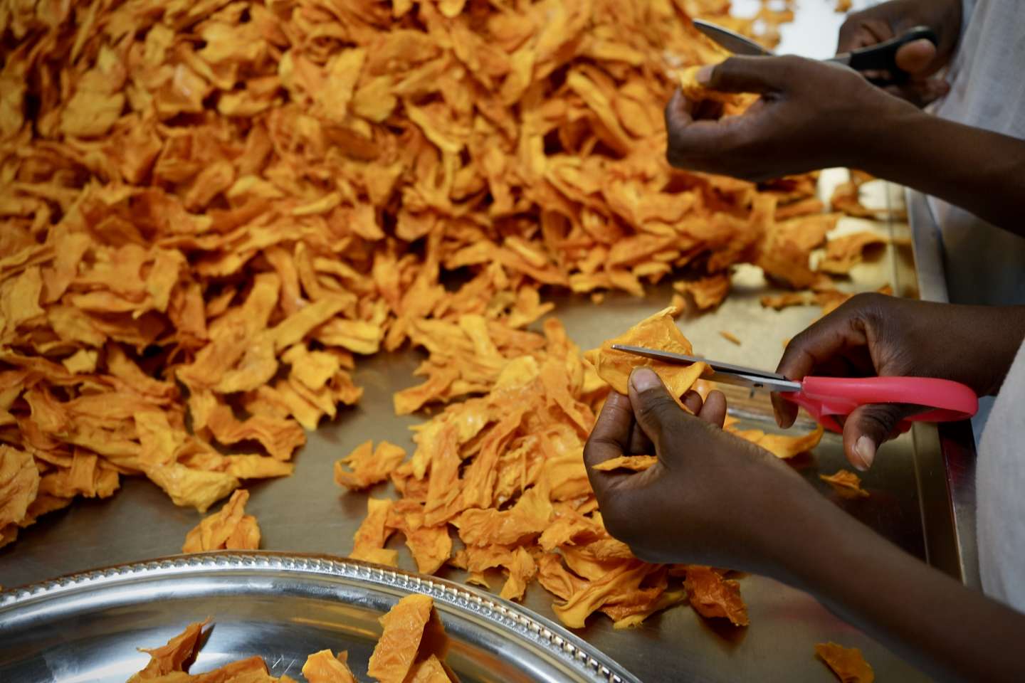 L’épopée de la mangue du Burkina, ou comment « l’or orange » a conquis nos assiettes
