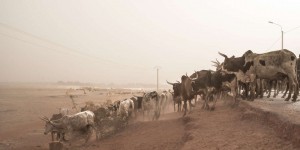 A trois mois de la COP27, l’Afrique crie à « l’injustice climatique »