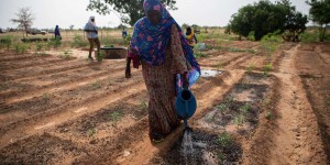 Le Niger provoque la pluie pour éloigner le spectre de la sécheresse