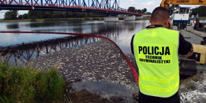 En Pologne, 100 tonnes de poissons morts dans la rivière Oder, un désastre écologique sans explication