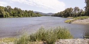 La restauration du Rhône, un chantier sans fin pour retrouver un fleuve vivant