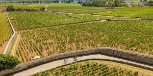 La sécheresse conditionne le rebond de la production viticole française
