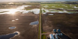 Les terres du Dakota du Nord, grenier à blé des Etats-Unis, suscitent la convoitise de Bill Gates