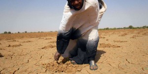 La crise climatique a fortement aggravé la « faim aiguë » dans les pays les plus exposés, selon Oxfam