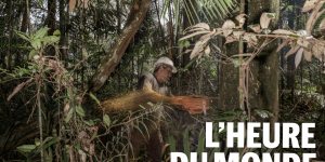 Déforestation, trafics : voyage au cœur de l’Amazonie