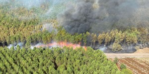 Feux de forêt : 48 incendiaires interpellés cet été