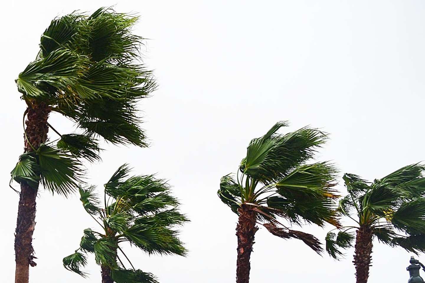 La Guadeloupe et la Martinique placées en vigilance orange « fortes pluies et orages »
