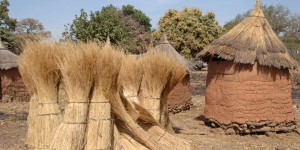 Guerre en Ukraine : « Le sort de l’Afrique sur la question de la sécurité alimentaire ne se joue pas dans l’actuelle crise des importations de blé »