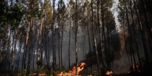 Incendie en Gironde : quelque 1 300 hectares brûlés, un bourg évacué