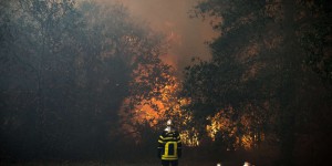Incendies : De nouveaux départs de feux touchent la Gironde