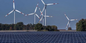Projet de loi énergies renouvelables : ONG, syndicats et patronat appellent à mieux prendre en compte la biodiversité et le débat public