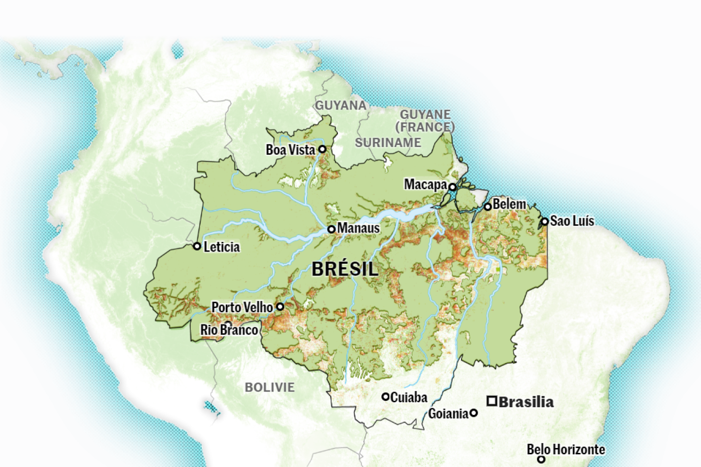 Au Brésil de Jair Bolsonaro, le recul de la forêt amazonienne en cartes