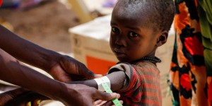 COP27 : des revues scientifiques et médicales lancent un appel à l’aide climatique pour l’Afrique
