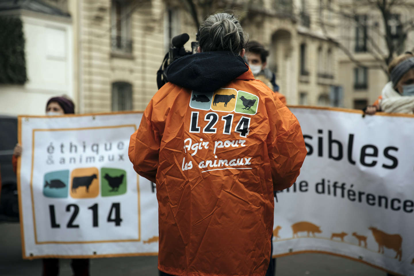 L214 porte plainte contre Chevenet, leader européen des fromages de chèvre, pour maltraitance animale