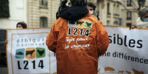 L214 porte plainte contre Chevenet, leader européen des fromages de chèvre, pour maltraitance animale